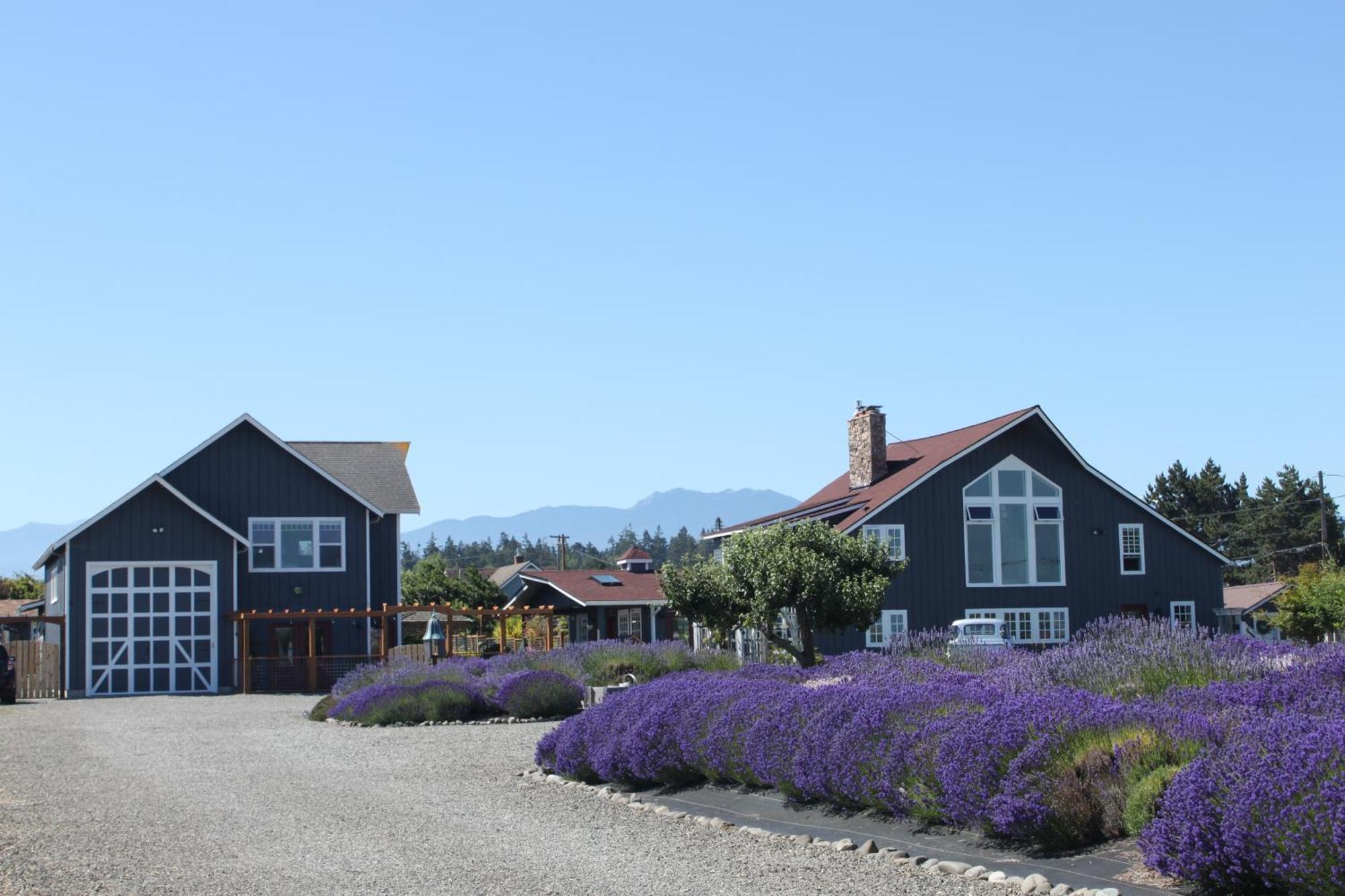 Dungeness Barn House Bed And Breakfast At Two Crows Farm Скуим Екстериор снимка