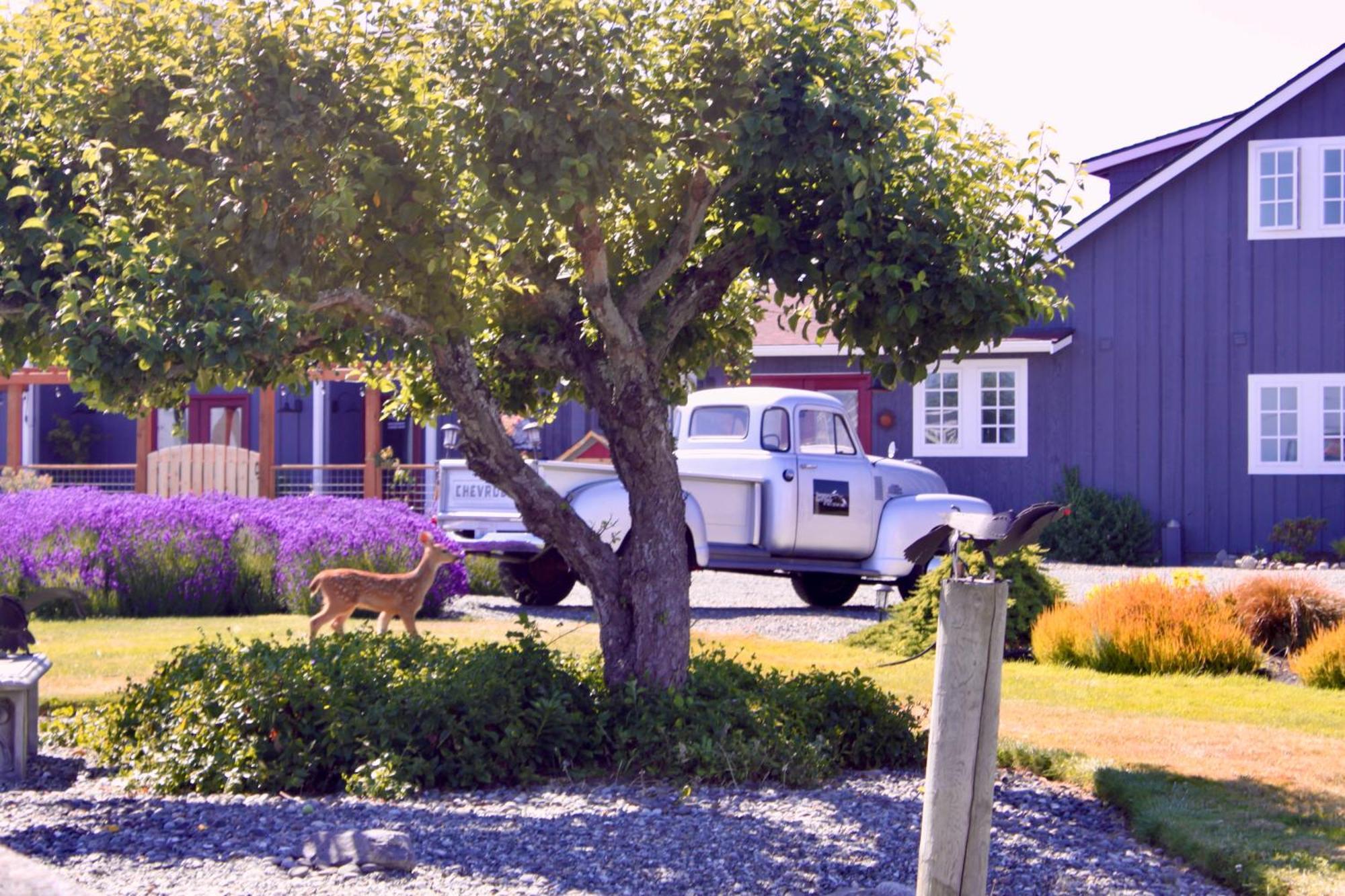 Dungeness Barn House Bed And Breakfast At Two Crows Farm Скуим Екстериор снимка