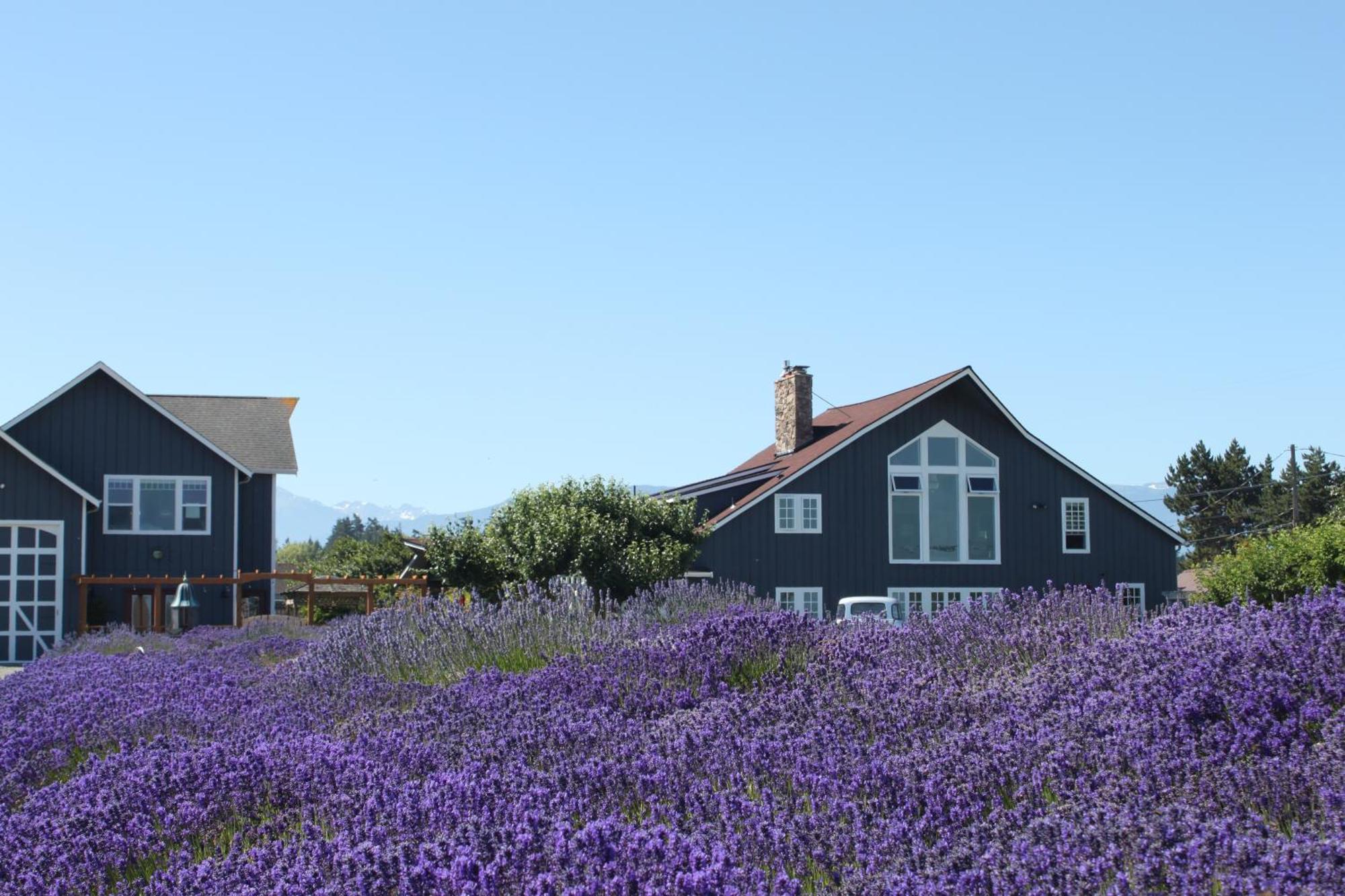 Dungeness Barn House Bed And Breakfast At Two Crows Farm Скуим Екстериор снимка